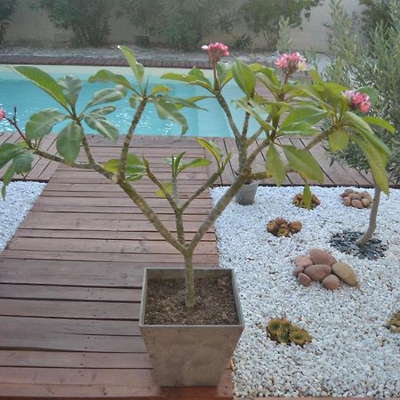 B & B "Les Charmettes" Vedene Bagian luar foto